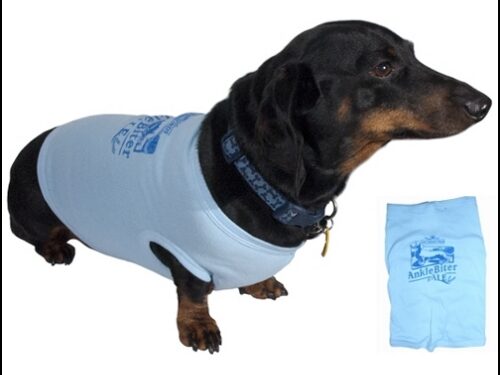 Doggie Wear
